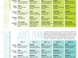 At Home Juice Cleanse Plan Best 25 2 Day Cleanse Ideas On Pinterest Detox Cleanse