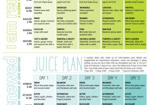 At Home Juice Cleanse Plan Best 25 2 Day Cleanse Ideas On Pinterest Detox Cleanse
