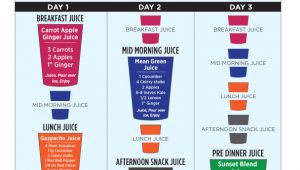 At Home Juice Cleanse Plan Joe Cross 3 Day Weekend Juice Cleanse the Dr Oz Show