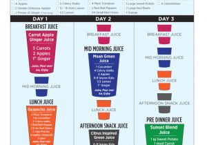 At Home Juice Cleanse Plan Joe Cross 3 Day Weekend Juice Cleanse the Dr Oz Show