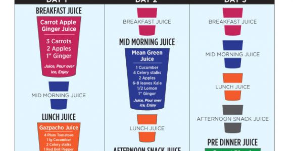At Home Juice Cleanse Plan Joe Cross 3 Day Weekend Juice Cleanse the Dr Oz Show