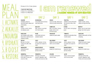 At Home Juice Cleanse Plan Juice Cleanse Plan Diy Diy Do It Your Self