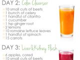 At Home Juice Cleanse Plan Three Day Easy Cleanse with Juicing In the Day and A
