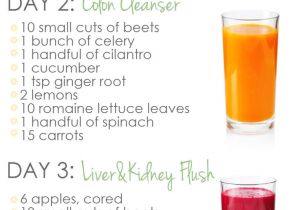 At Home Juice Cleanse Plan Three Day Easy Cleanse with Juicing In the Day and A