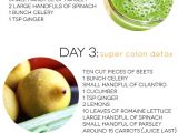 At Home Juice Cleanse Plan Three Day Juice Cleanse Dash Of Darling