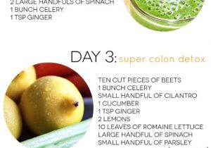 At Home Juice Cleanse Plan Three Day Juice Cleanse Dash Of Darling