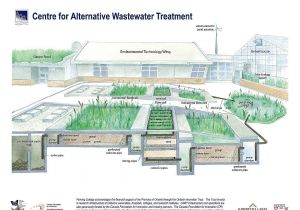 At Home Plan B Remedy Constructed Wetlands Design Google Search Constructed
