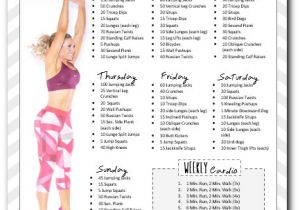 At Home Work Out Plan 10 Week Workout Plan to Insanity Back