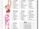 At Home Work Out Plans 10 Week Workout Plan to Insanity Back