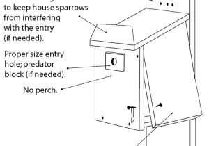 Audubon Bird House Plans Audubon Bird House Plans Audubon Bird House Plans 28 Audubon Bird House Plans Audubon Bird House Plans Audubon Bird House Plans 28