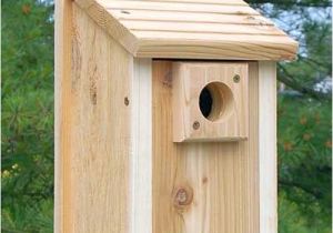 Audubon Bird House Plans Audubon Bird House Plans Audubon Bird House Plans 28 Audubon Bird House Plans Audubon Bird House Plans Audubon Bird House Plans 28