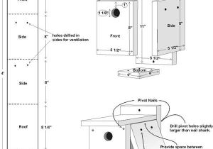 Audubon Bird House Plans Audubon Bird House Plans Luxury Free Wren House Plans Easy Audubon Bird House Plans Audubon Bird House Plans Luxury Free Wren House Plans Easy