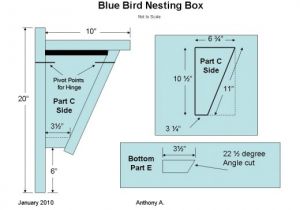 Audubon Bird House Plans Audubon Birdhouse Plans