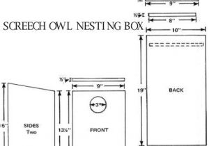 Audubon Bird House Plans Audubon Birdhouse Plans Plans to Build Owl Houses Audubon Bird House Plans Audubon Birdhouse Plans Plans to Build Owl Houses