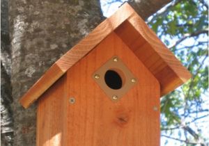 Audubon Bird House Plans Audubon society Bird House Plans House Design Plans Audubon Bird House Plans Audubon society Bird House Plans House Design Plans