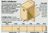 Audubon Bird House Plans Birdhouse Plan for Pj Cabane D 39 Oiseaux Et Plan
