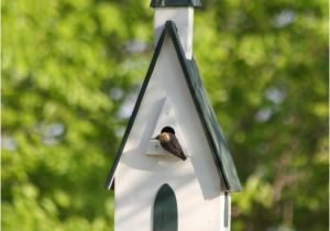 Audubon Bird House Plans Bluebird House Plans Audubon Plans Diy How to Make Mute98mnq Audubon Bird House Plans Bluebird House Plans Audubon Plans Diy How to Make Mute98mnq