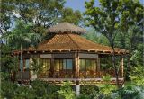 Bamboo Home Plans Build Modern Bamboo House Plans Modern House Plan