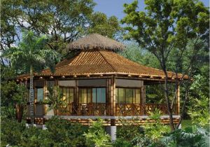 Bamboo Home Plans Build Modern Bamboo House Plans Modern House Plan