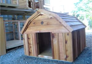 Barn Dog House Plans Elegant Barn Dog House Plans New Home Plans Design