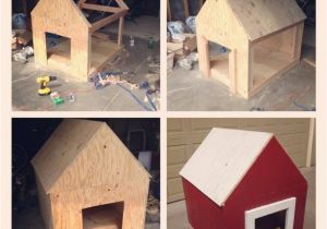 Barn Dog House Plans Elegant Barn Dog House Plans New Home Plans Design
