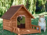 Barn Dog House Plans Luxury Dog House Plans with Well Made Dutch Barn Kennels
