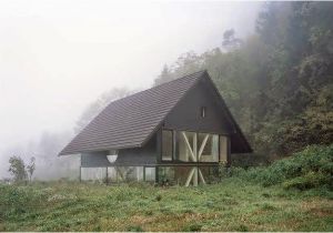 Barn Shaped Home Plans A Simple Barn Shaped House Design In Blasthal Switzerland