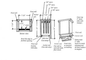Bat House Plans Minnesota 29 Best Images About Bat Houses On Pinterest the Bat House Plans Minnesota 29 Best Images About Bat Houses On Pinterest the