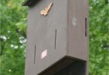 Bat House Plans Minnesota Mn Dnr Bat House Plans House Design Plans