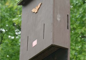 Bat House Plans Minnesota Mn Dnr Bat House Plans House Design Plans Bat House Plans Minnesota Mn Dnr Bat House Plans House Design Plans