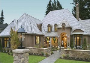 Best One Story Home Plans Best One Story French Country House Plans for Classic