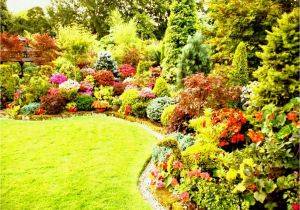 Better Homes and Gardens Flower Garden Plans Better Homes and Gardens Plans Home Planning Ideas with