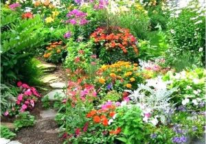 Better Homes and Gardens Flower Garden Plans Flower Garden Layout Ideas Raised Flower Garden Designs