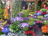 Better Homes and Gardens Flower Garden Plans Una Postal De Primavera Desde Holanda