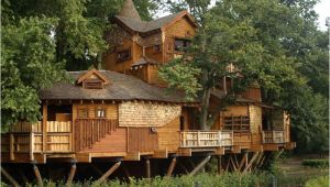 Big Tree House Plans What is Glamping Discover Glamping