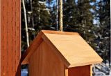 Bird House Feeder Plans Bird Houses Decorative Bird Houses Birdhouses Bird