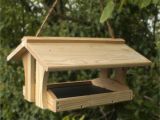 Bird House Feeder Plans Diy Bird Feeders On Pinterest Wooden Bird Feeders Bird
