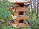 Bird House Feeder Plans Large Capacity Bird Feeder Plans Bird Cages