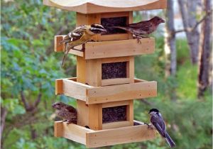 Bird House Feeder Plans Large Capacity Bird Feeder Plans Bird Cages