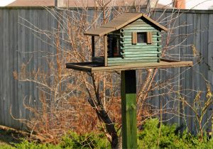 Bird House Feeder Plans Pdf Giant Bird House Plans Plans Free