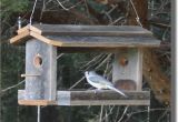 Bird House Feeder Plans Wood Bird Feeder Plans Bird Feeder Patterns Plans for