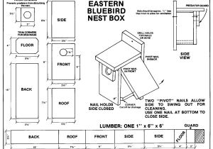 Bird House Plans for Bluebirds Acravan Bluebird ornicopia 16