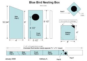 Bird House Plans for Bluebirds How to Build Simple Bluebird House Plans Pdf Plans