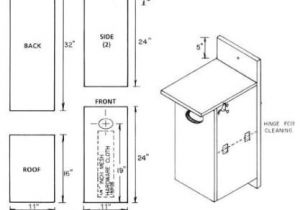 Bird House Plans for Kids Bird House Plans for Kids Woodwork