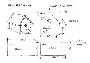 Bird House Plans for Kids Birdhouse Plans for Kids Find House Plans