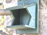 Bird House Plans for Robins American Robin Bird House Plans Plans Diy How to Make