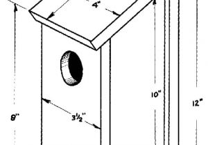 Bird House Plans for Sparrows Bird House Plans for Sparrows Lovely House Sparrow Birds