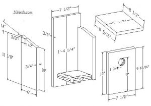 Bird House Plans for Sparrows Cute Bird House Plans for Sparrows New Home Plans Design