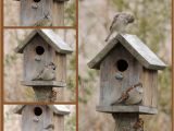 Bird House Plans for Sparrows Sparrow Bird House Plans