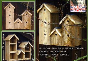 Bird House Plans for Sparrows Sparrow Row Bird Box Birdbx Spar Bird Boxes by Granddad